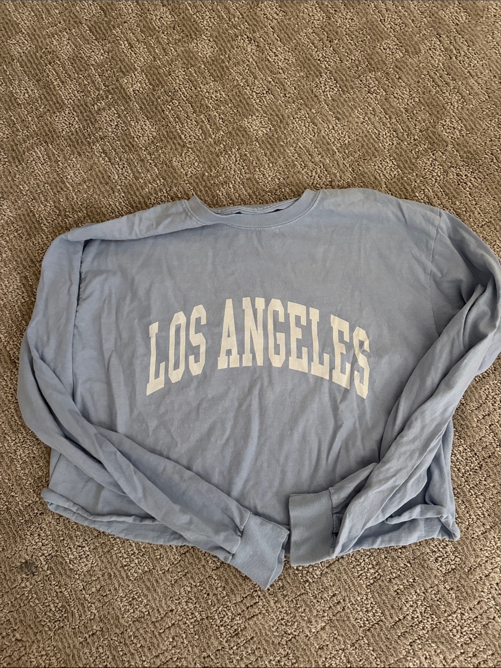 Brandy Melville Light Blue "Los Angeles" Cropped Sweatshirt